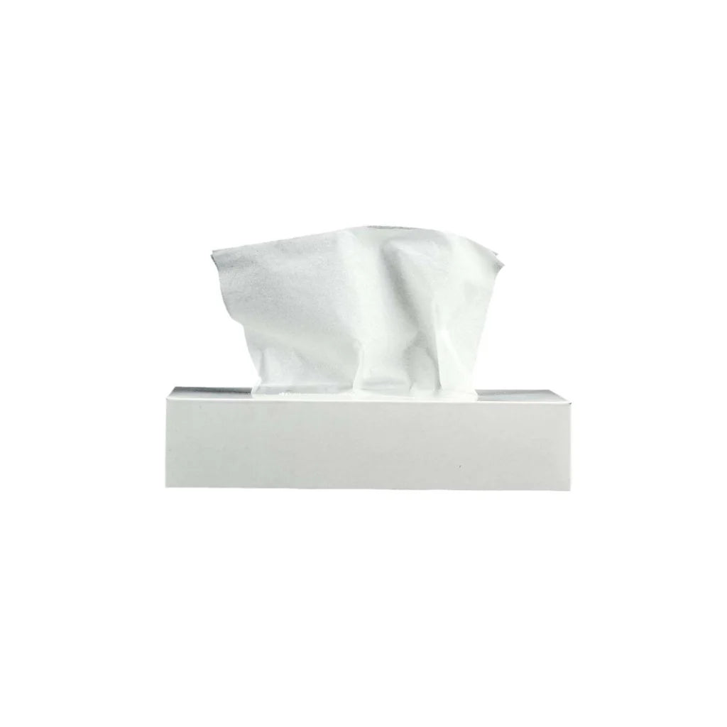 White box Facial Tissue 80 sheet 2 ply 1 pack x 36 boxes